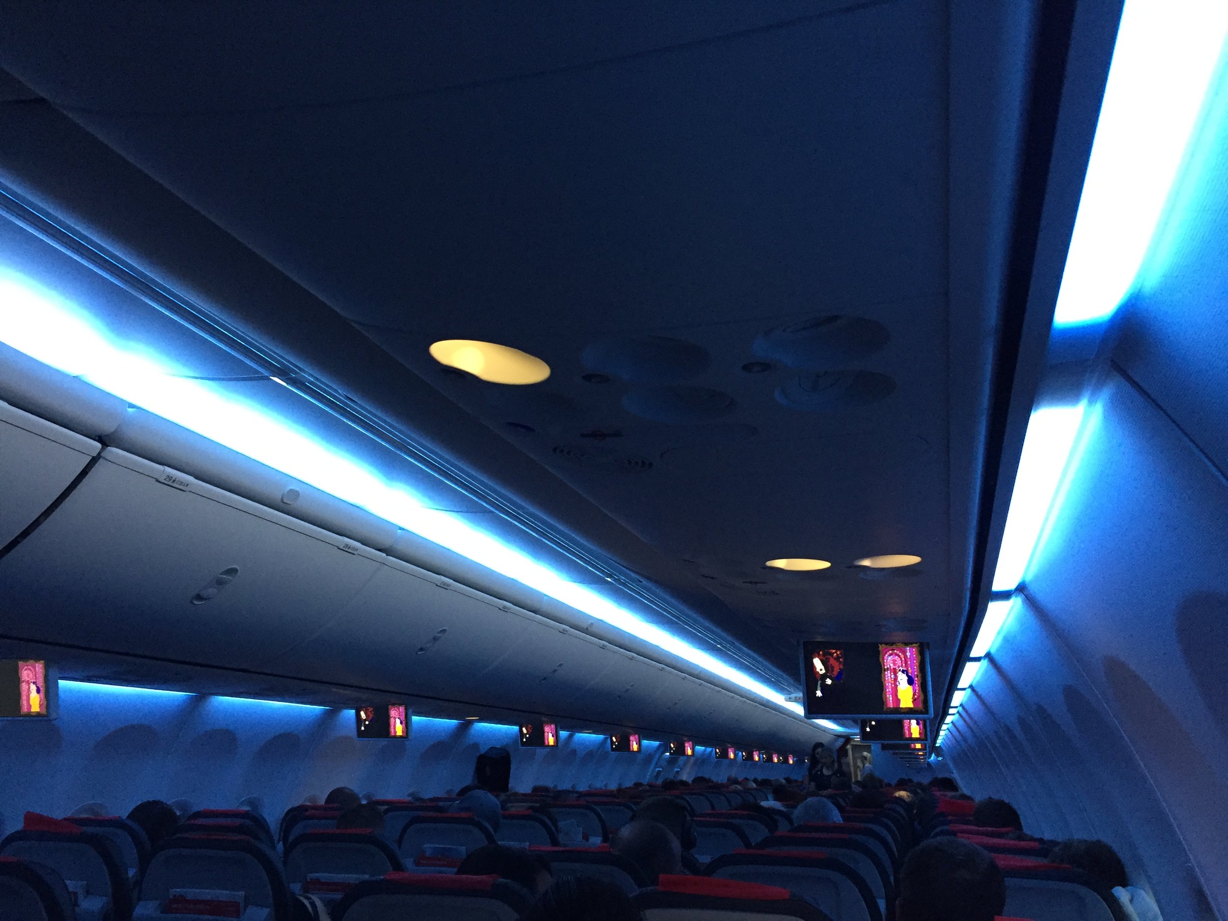 AVIONX FLEET BOEING 737-800 (13)