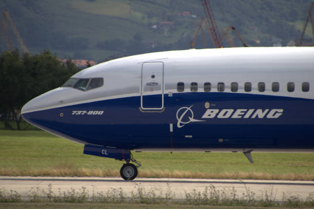 AVIONX FLEET BOEING 737-800 (8)