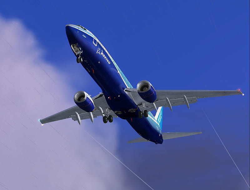 AVIONX FLEET BOEING 737-800 B738 (9)